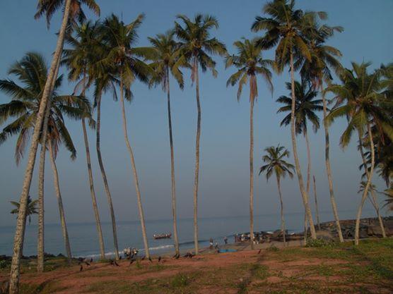 Oceanic Beach Residency Варкала Экстерьер фото