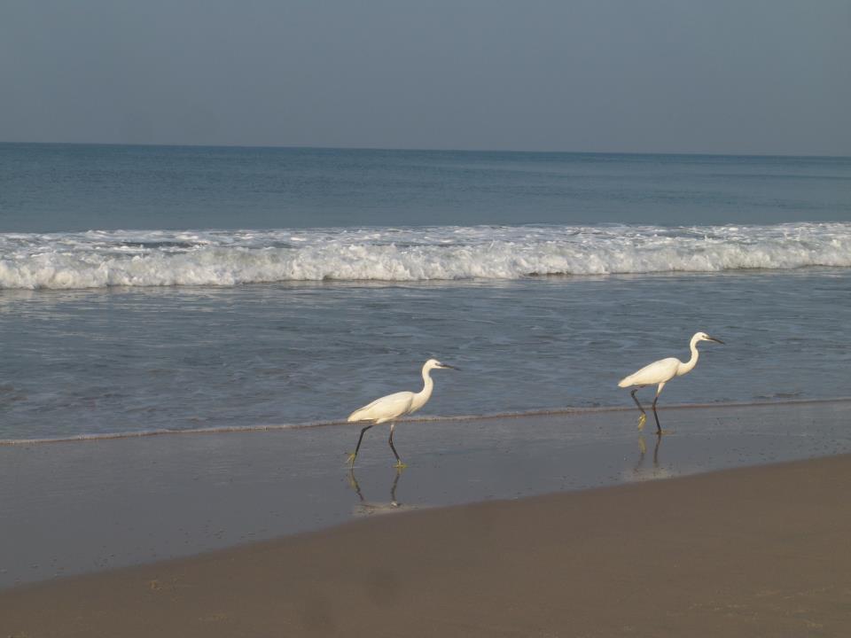 Oceanic Beach Residency Варкала Экстерьер фото